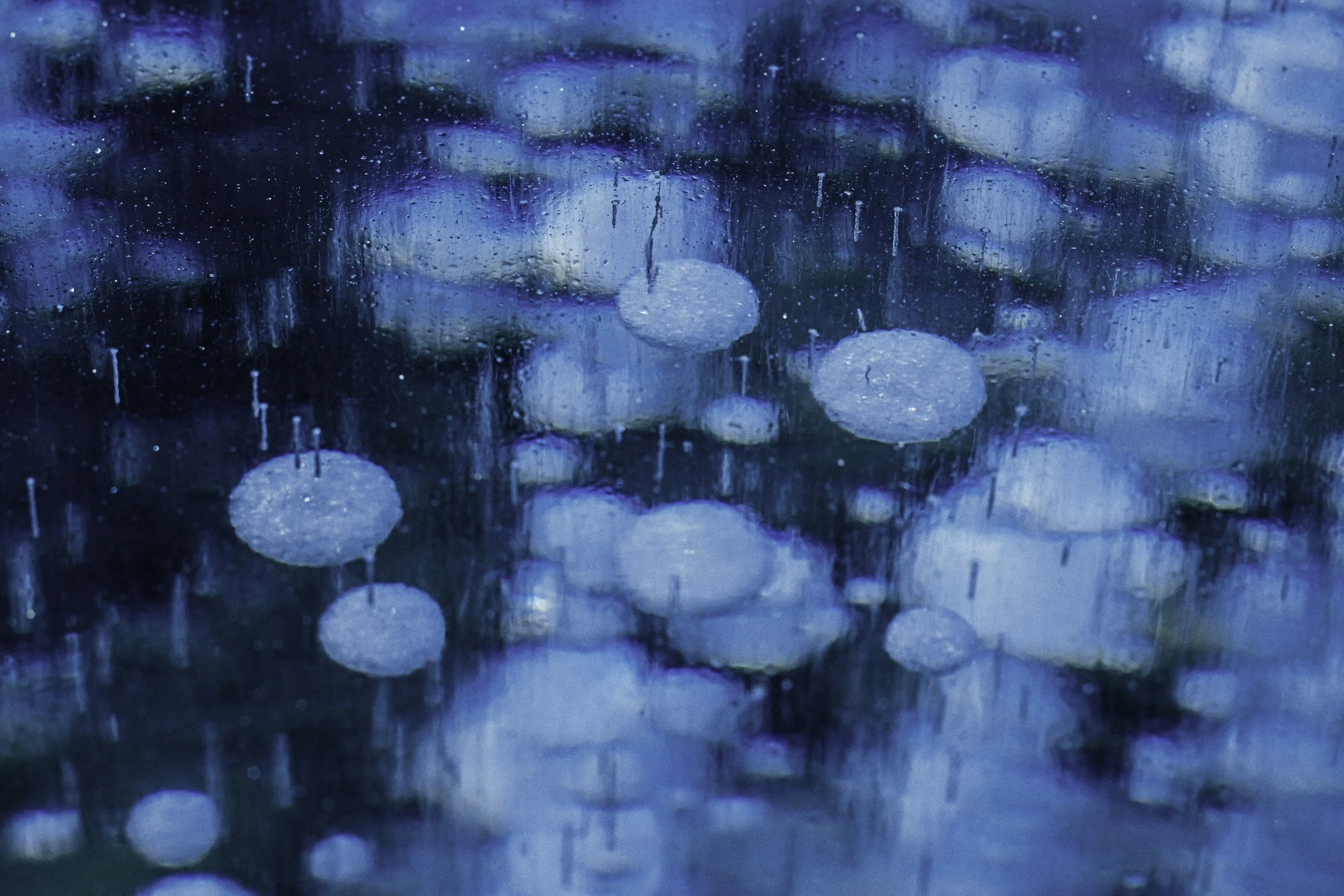 Exploring Temperature Regulation as a Somatic Practice