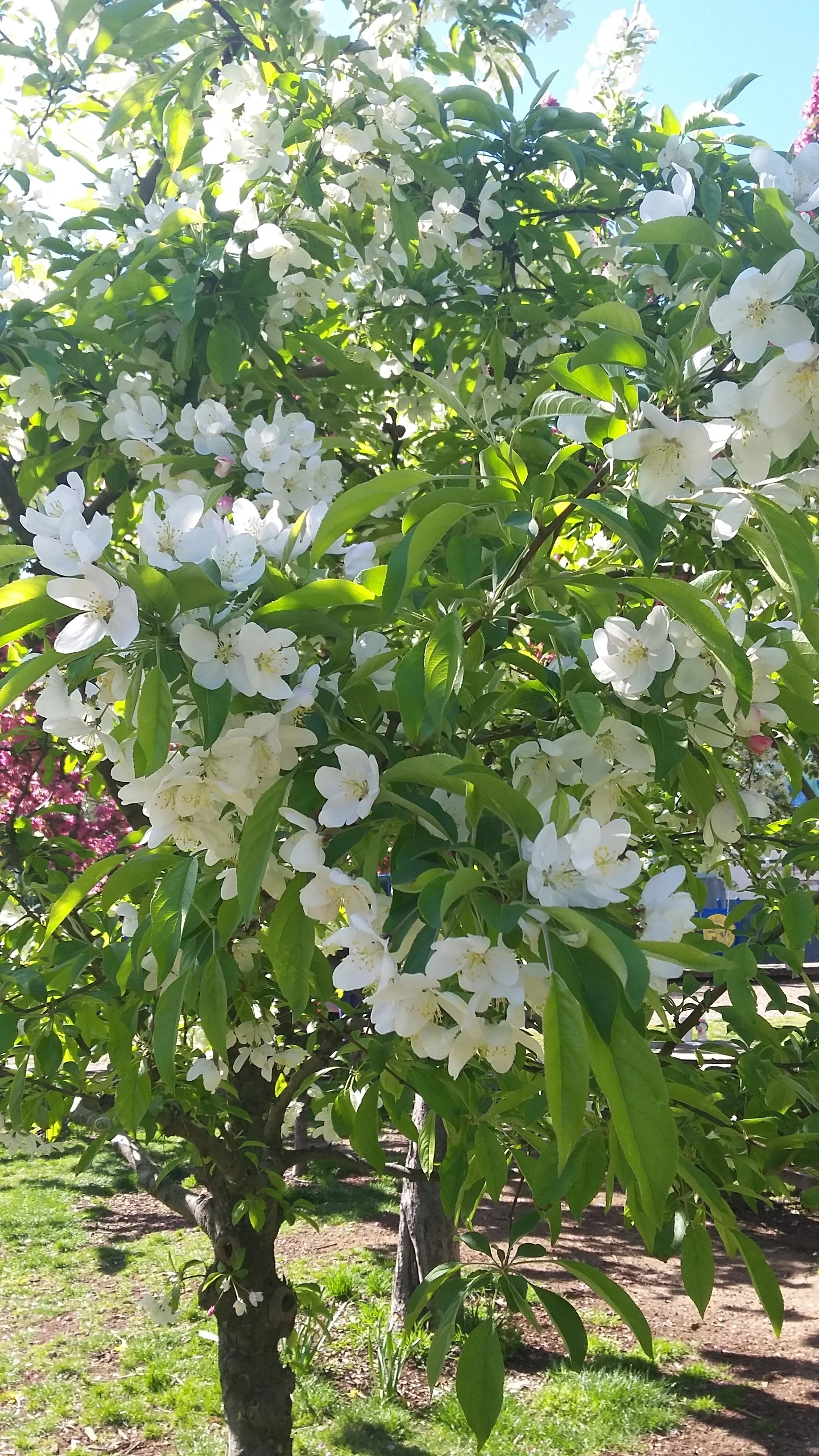 20160416_095450.jpg