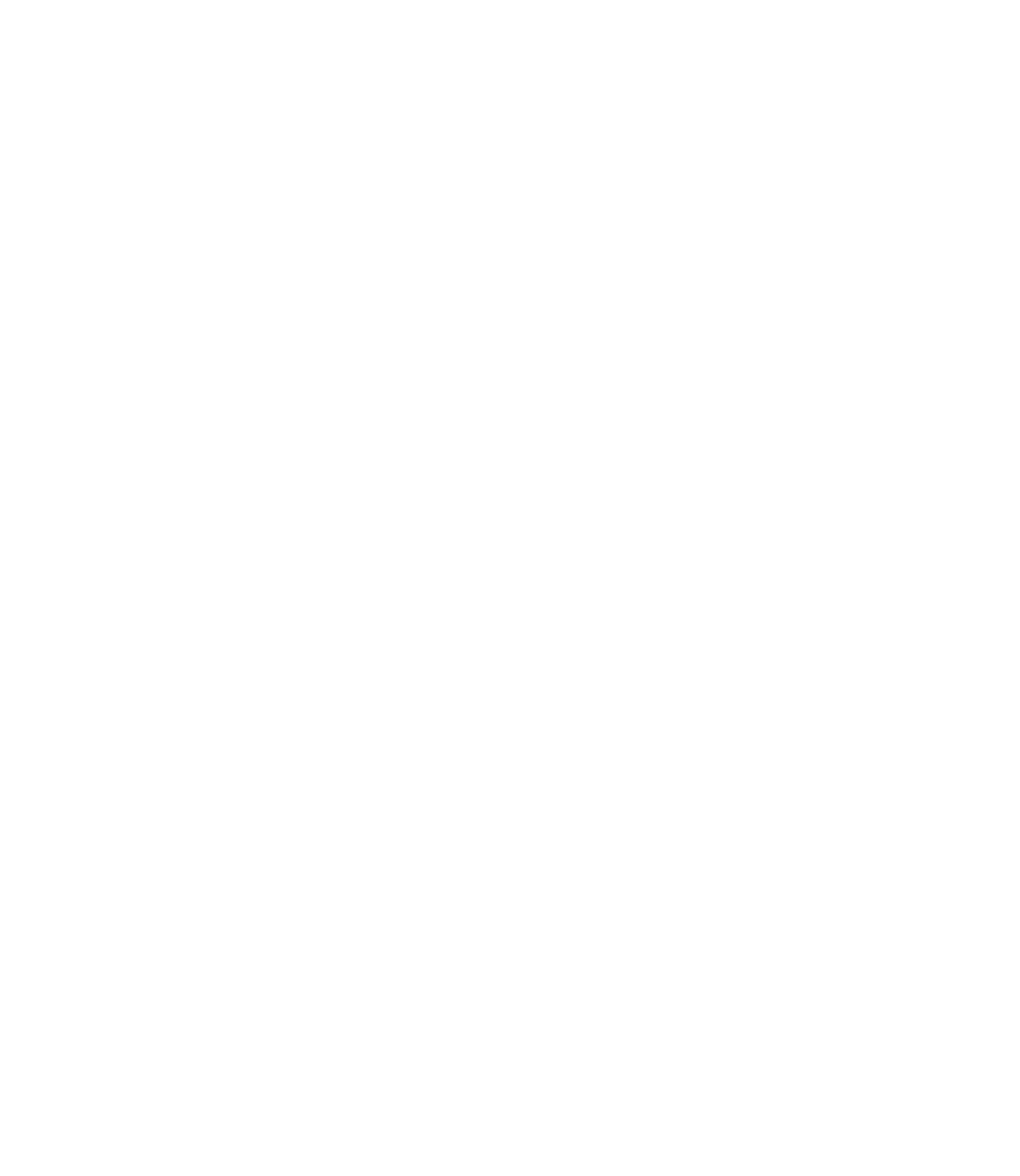 Kali Group 