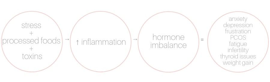 visual process of hormone imbalance and inflammation in the body