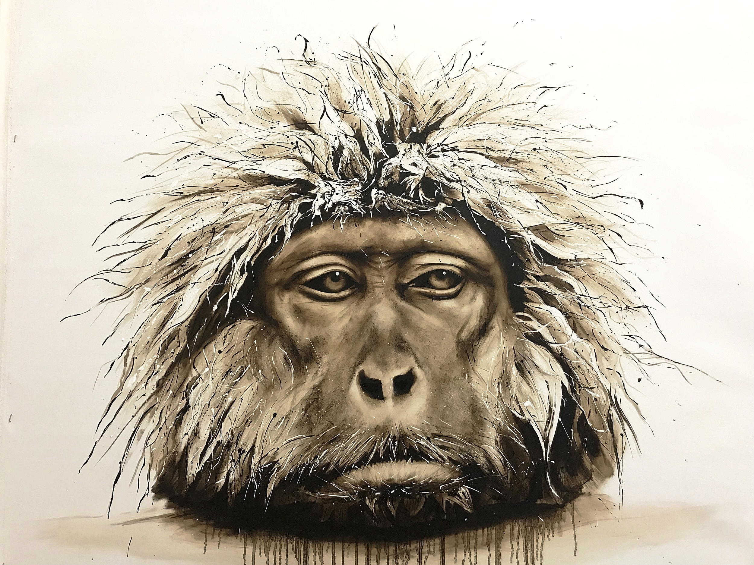 'Grumpy Monkey' 2018