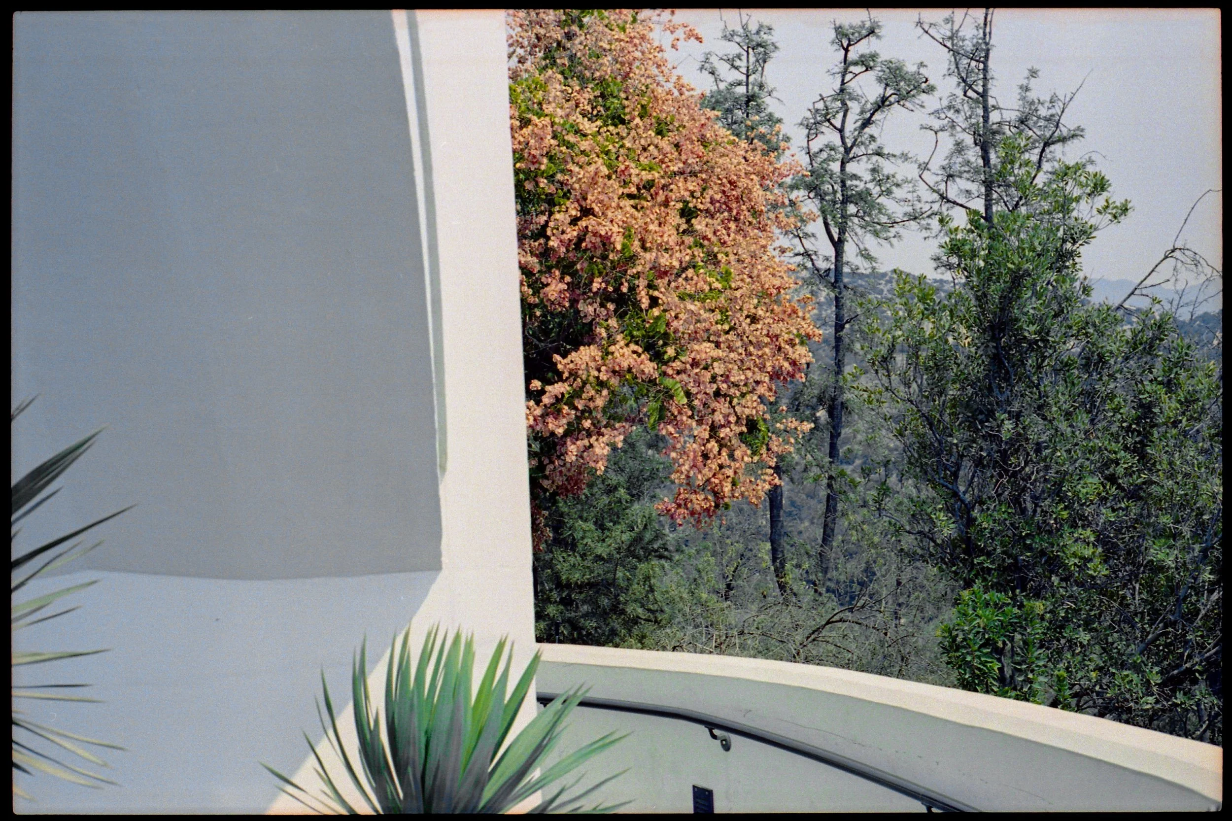 img20211013_16083884 2.jpeg