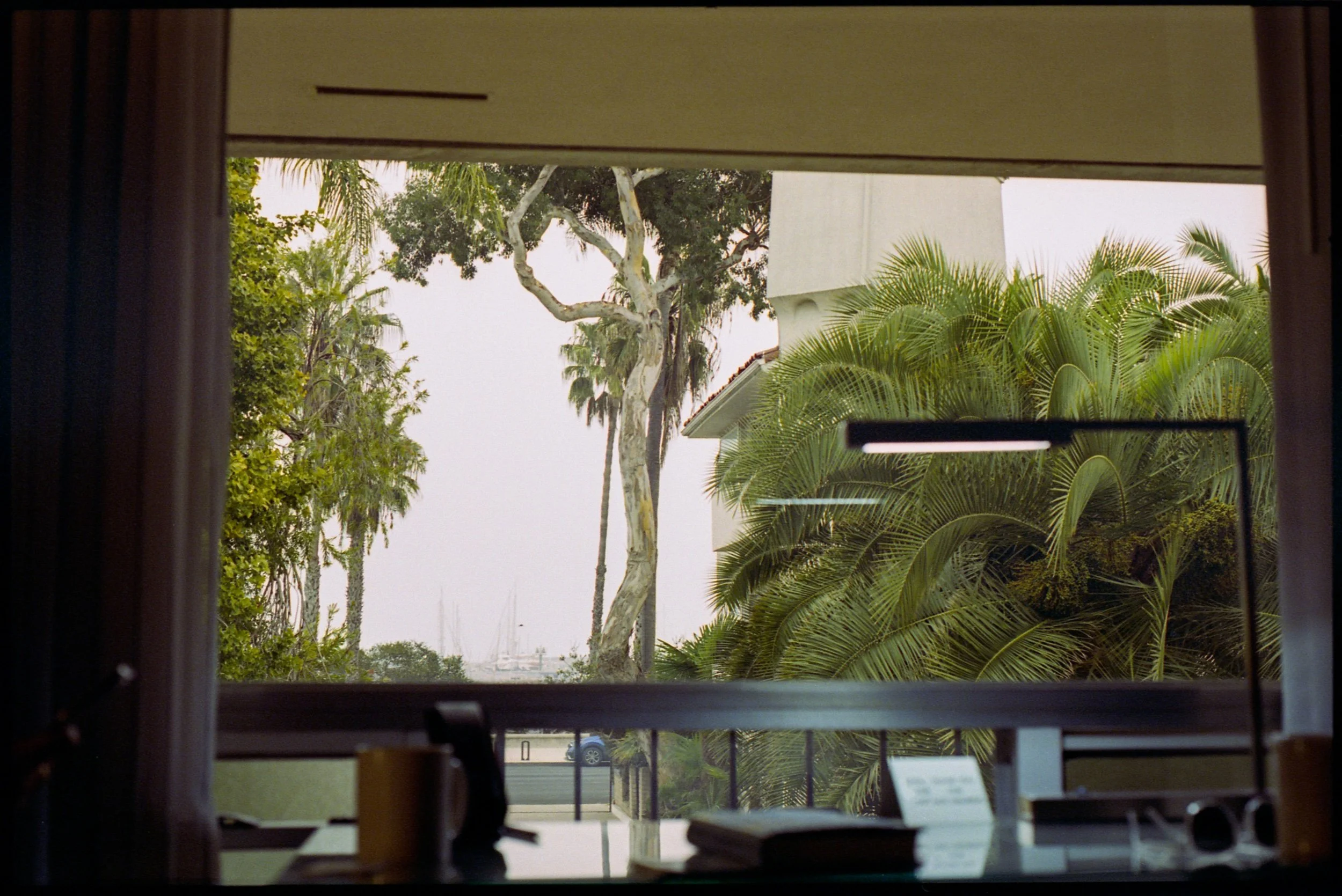 img20211013_16542497 2.jpeg