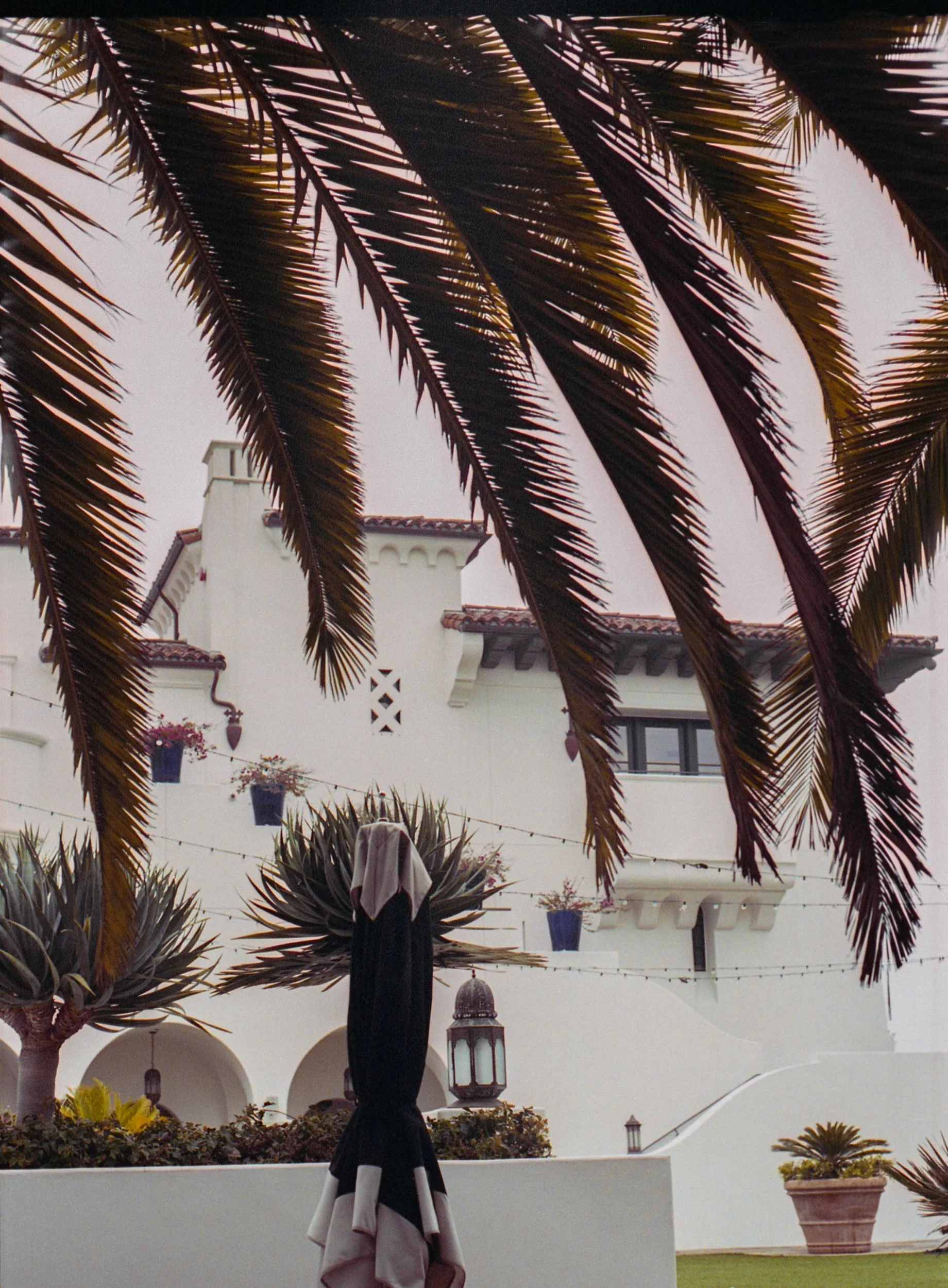 img20211013_16445110 2.jpeg