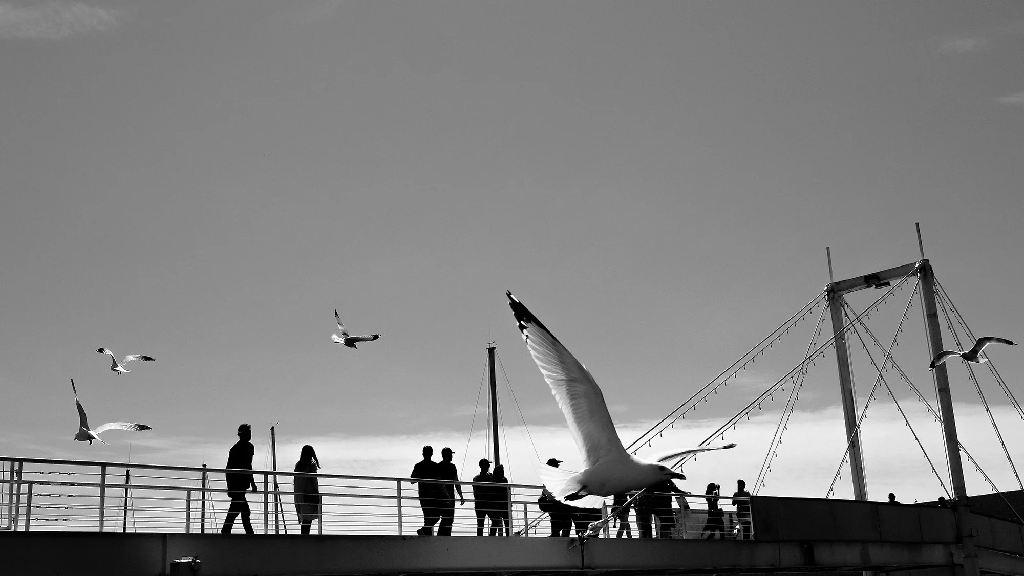 Waterfront, Toronto