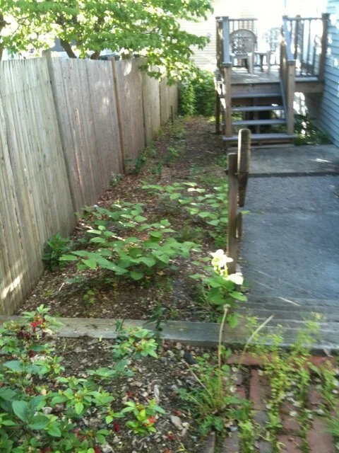 Heath left side b4 5-12.JPG