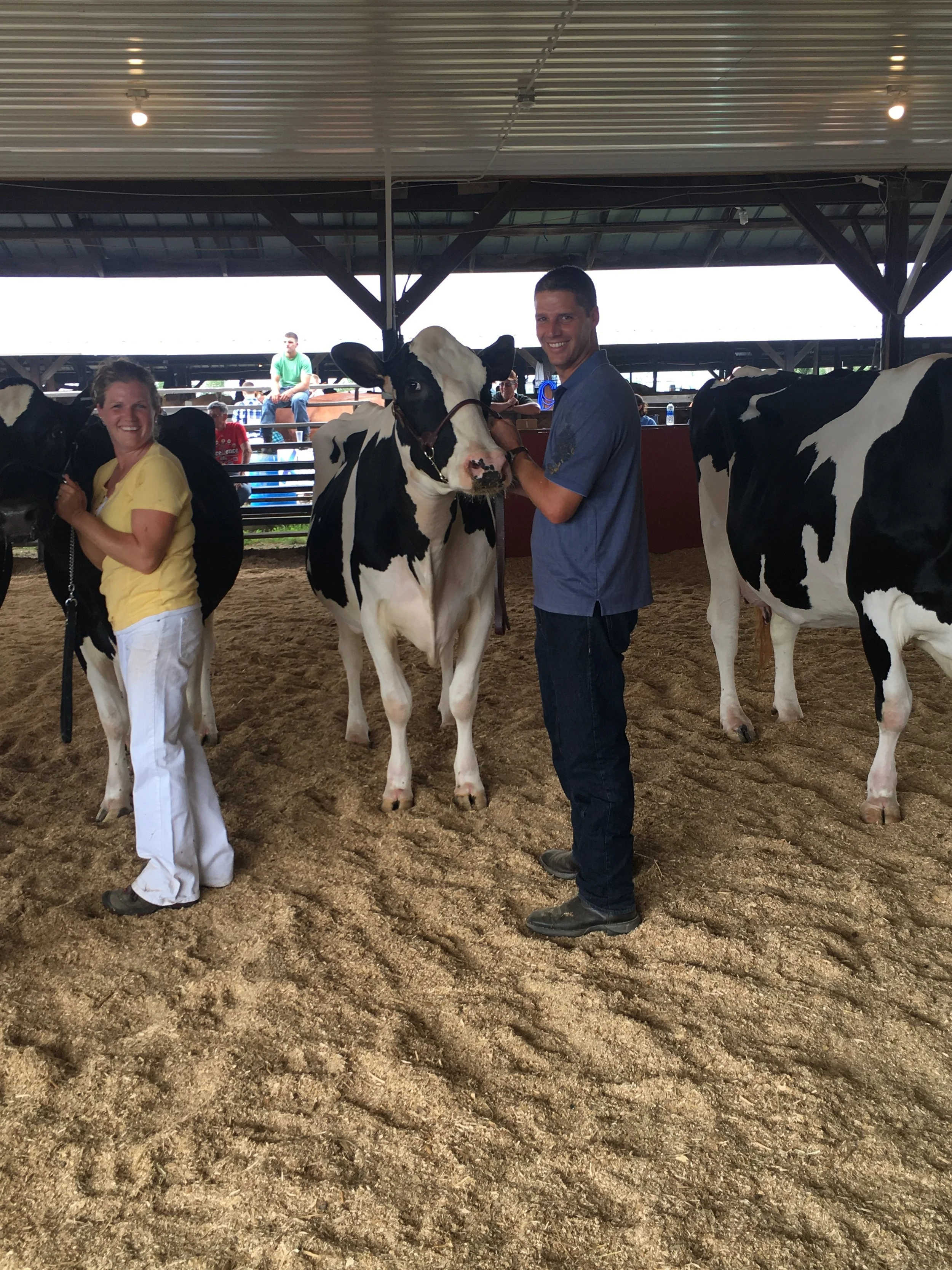 Owlett Visits the Fairs