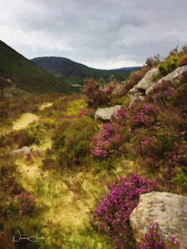 Overlooking The Silent Valley, Reservoir, Mourne Mountains