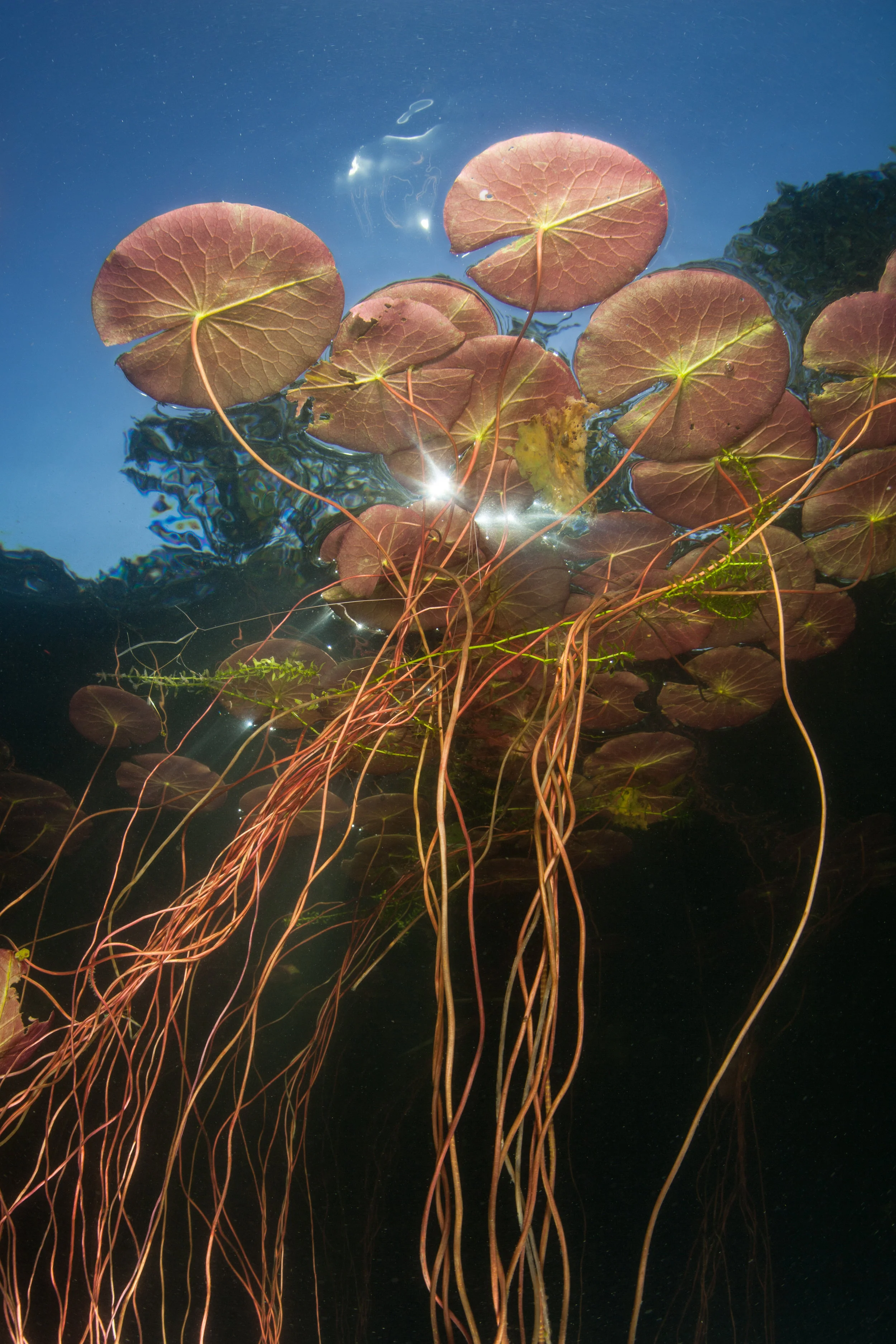 Photo by Velvetfish/iStock / Getty Images