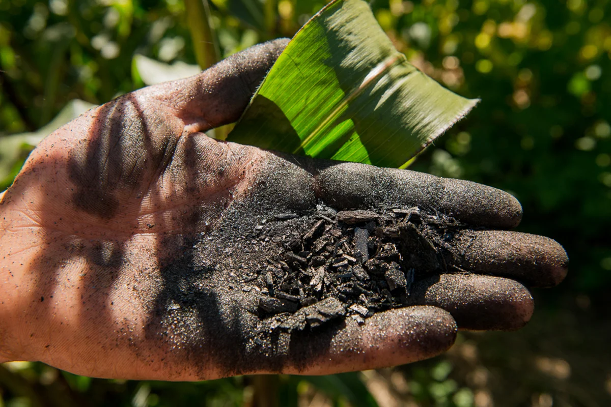 biochar hand pic.jpg
