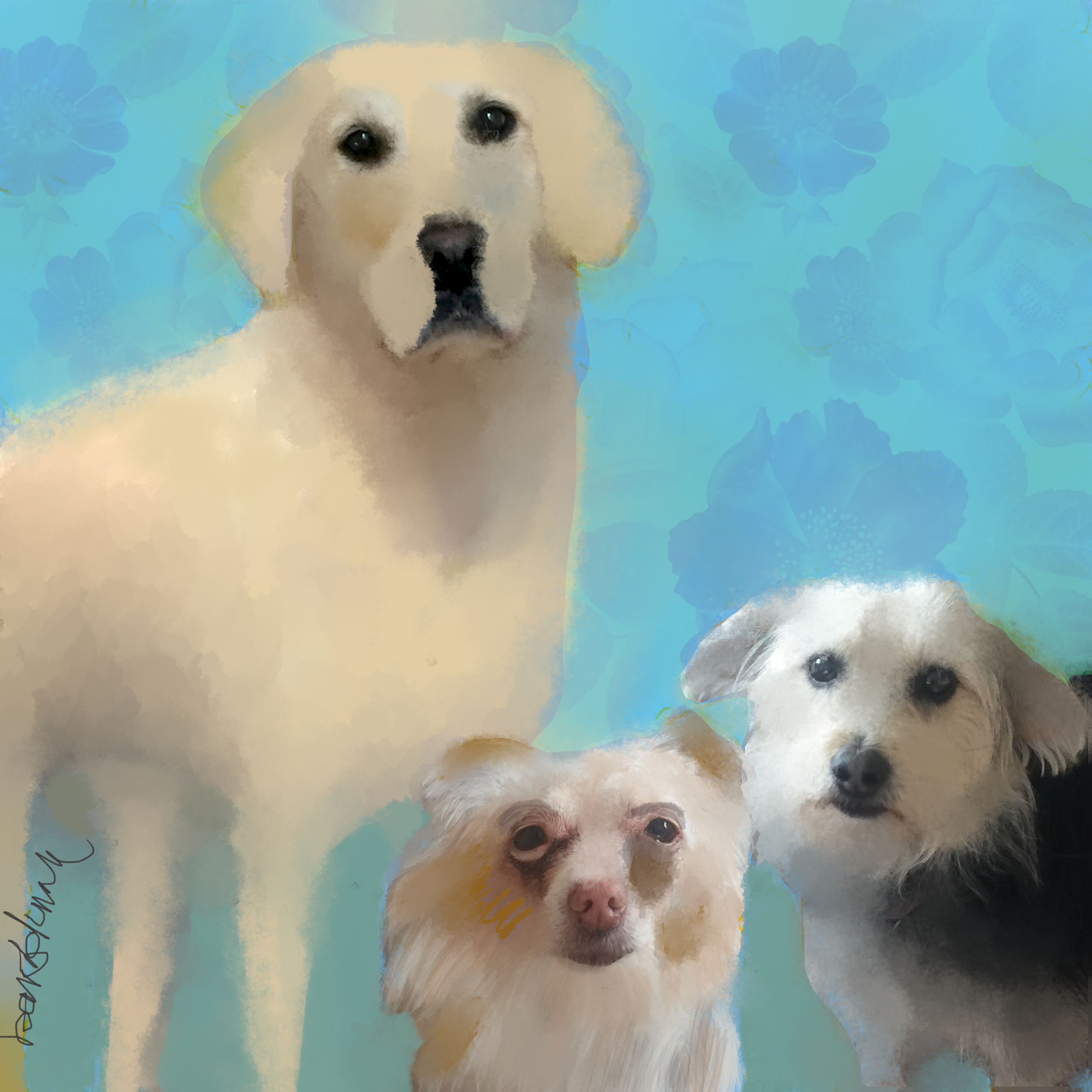 Carol's 3 Dogs