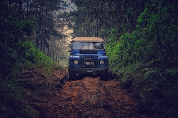 jeep - for synopsis page - underlay or bottom of page.jpg