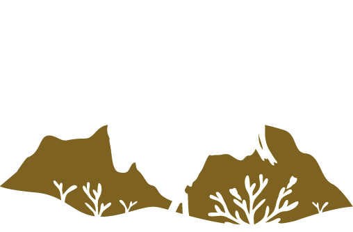 High Desert Shearing