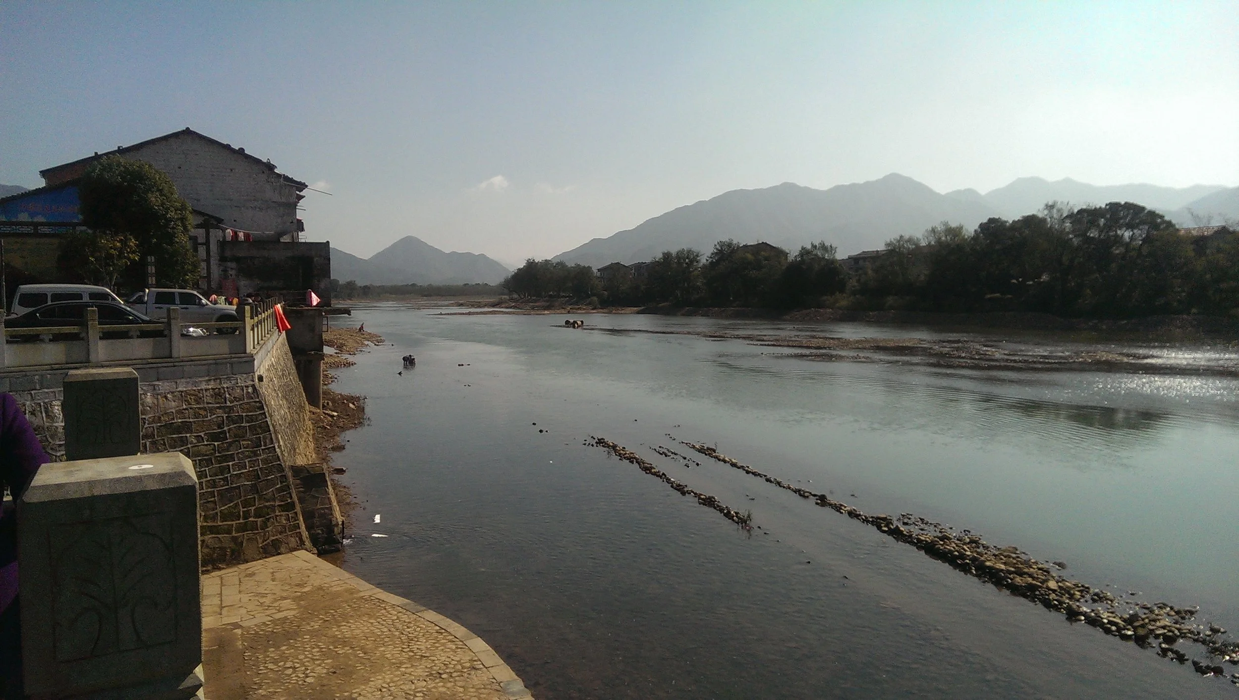 IMAG0244.jpg