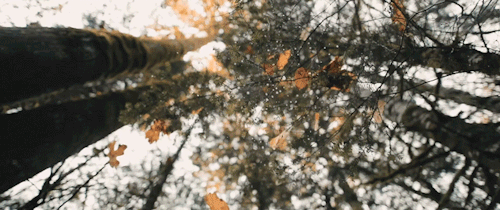 tumblr_oug7wh7zHh1wtxw72o1_500.gif