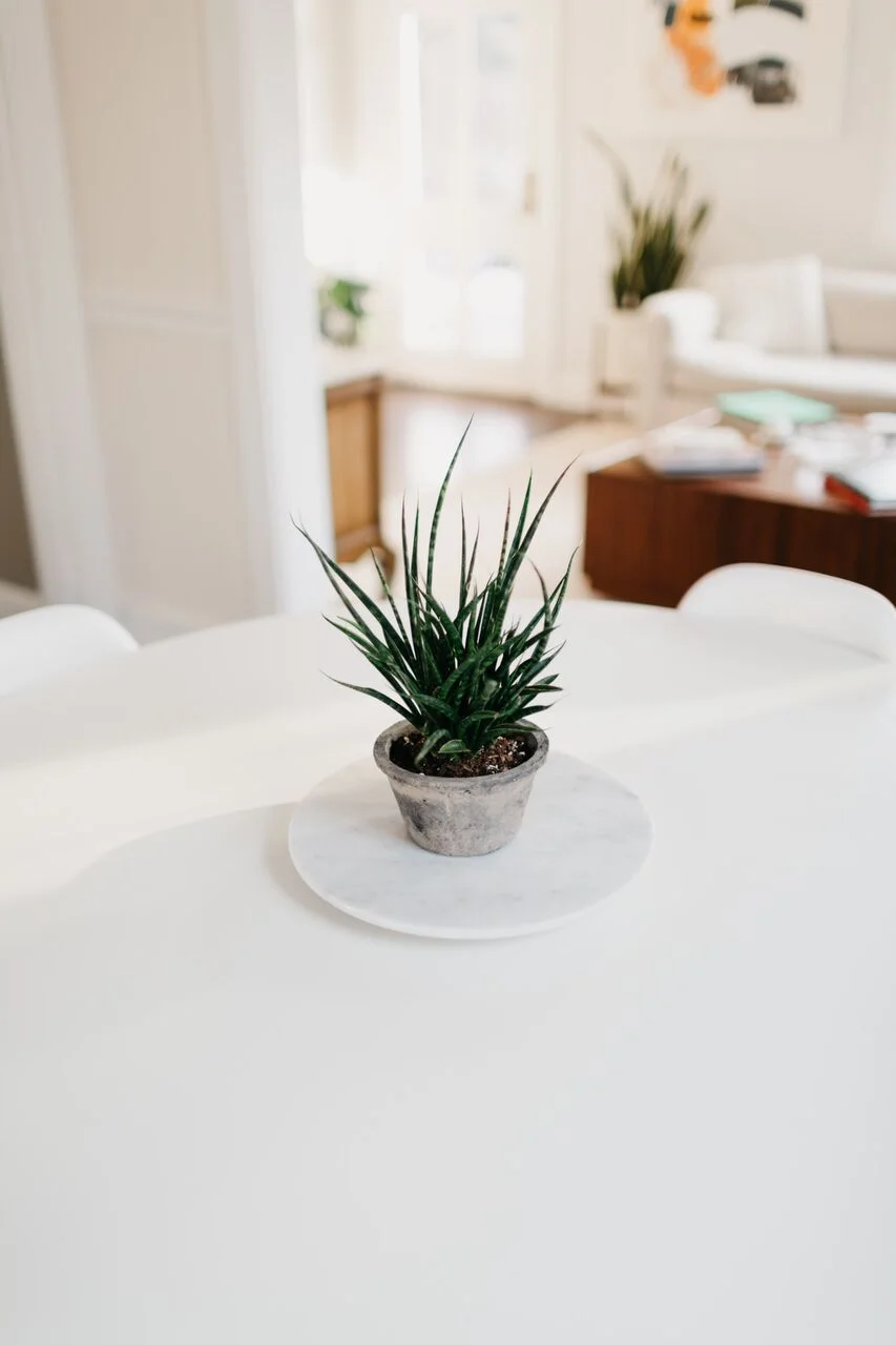   Terrain - Earth Fired Clay Pots  