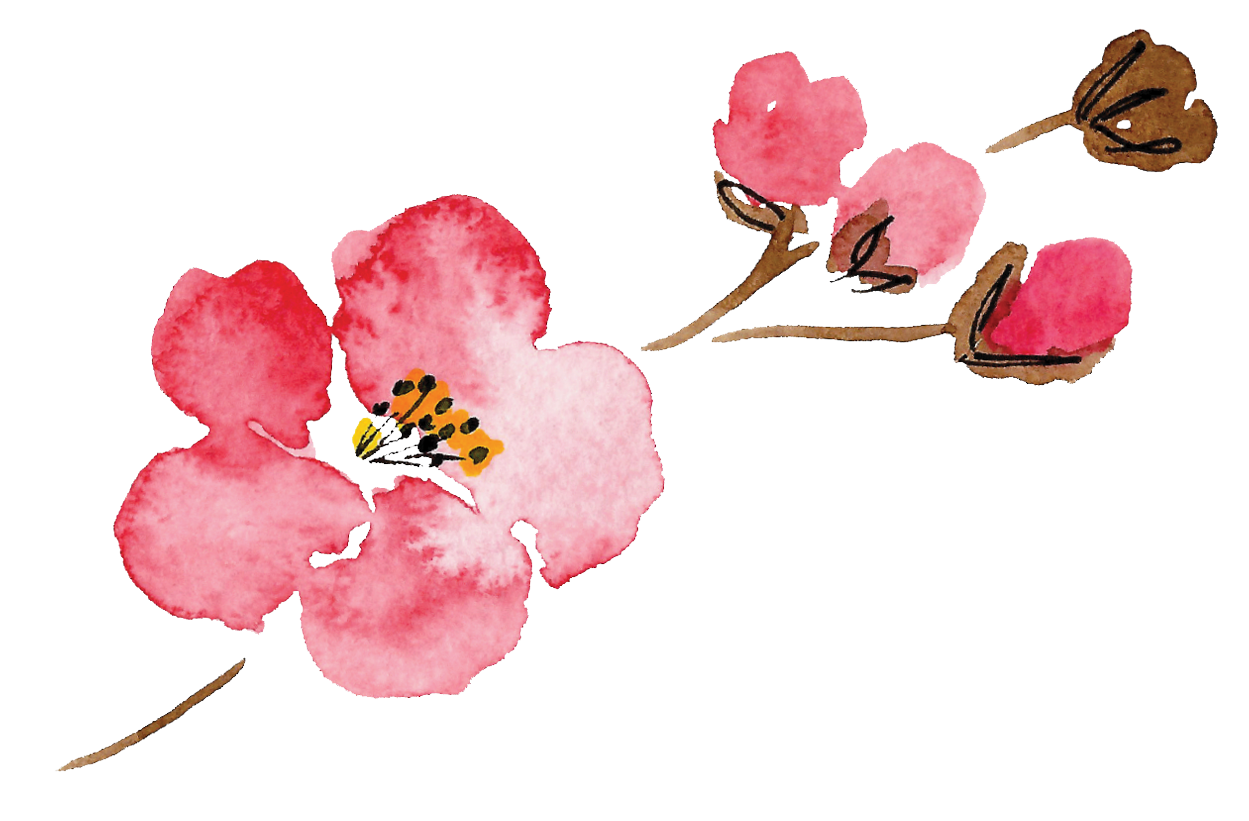 Luella-Acres-flower-only.png