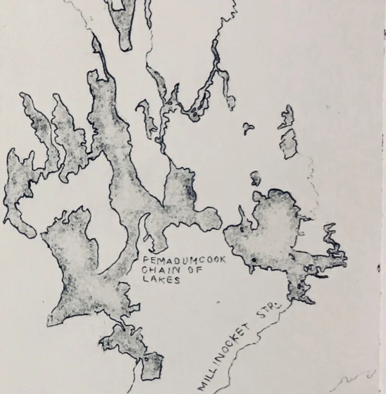 WB_Detail1.jpg