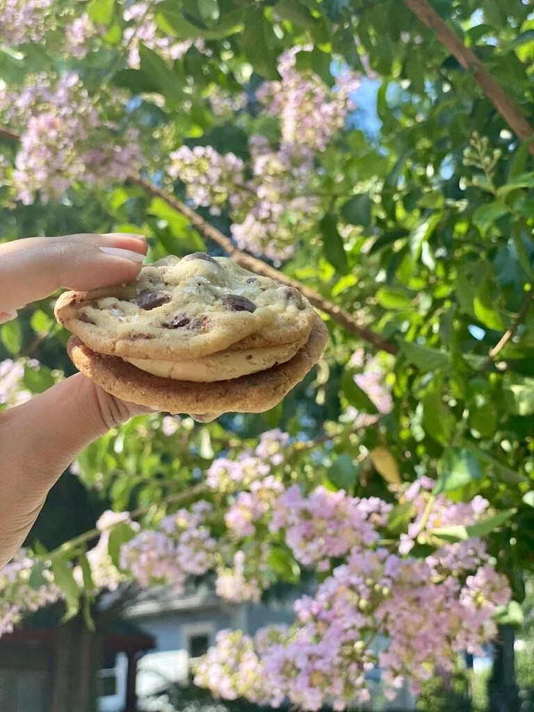 Malted Chocolate Chip Cookie