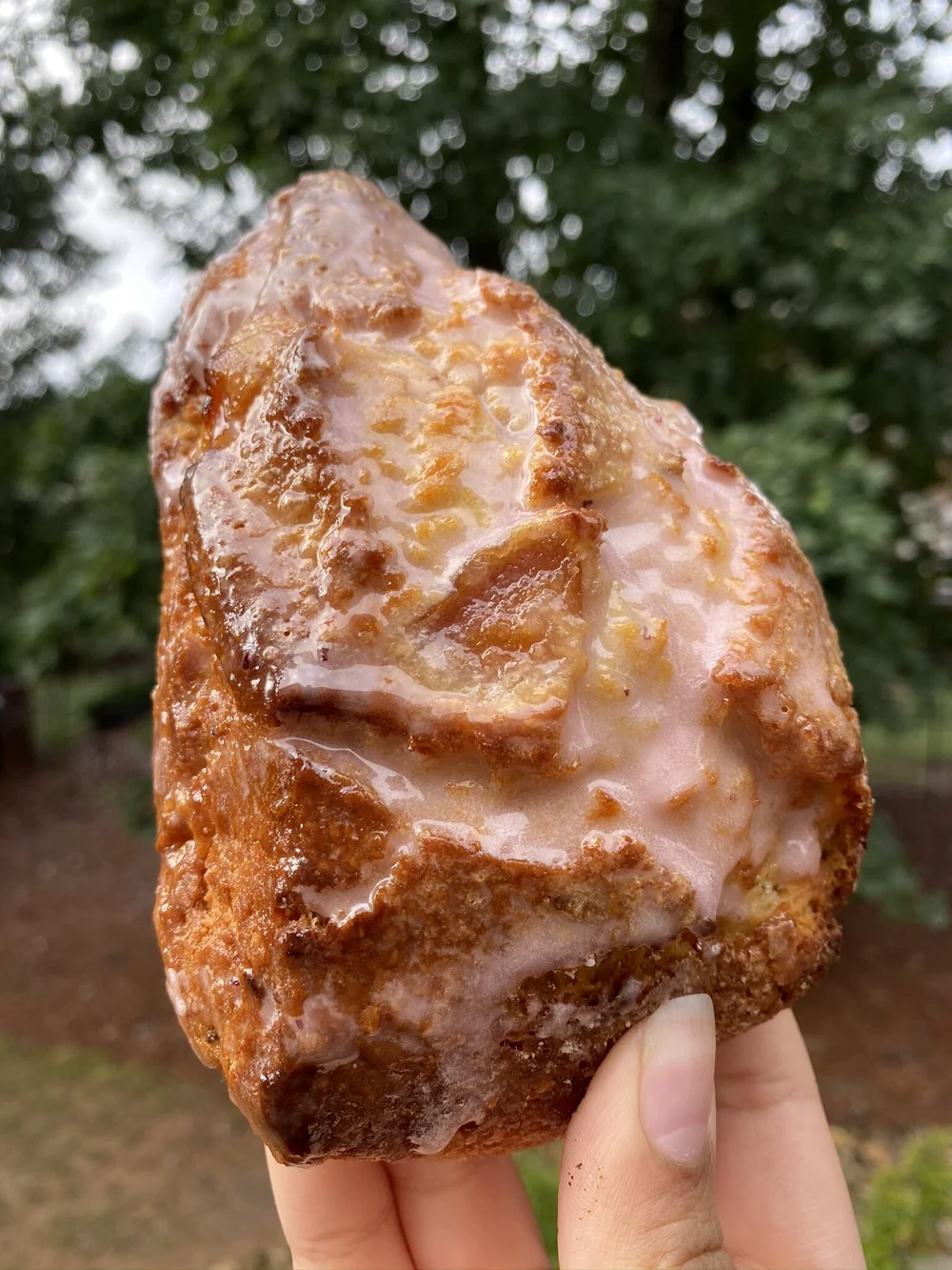 Lavender Peach Scone