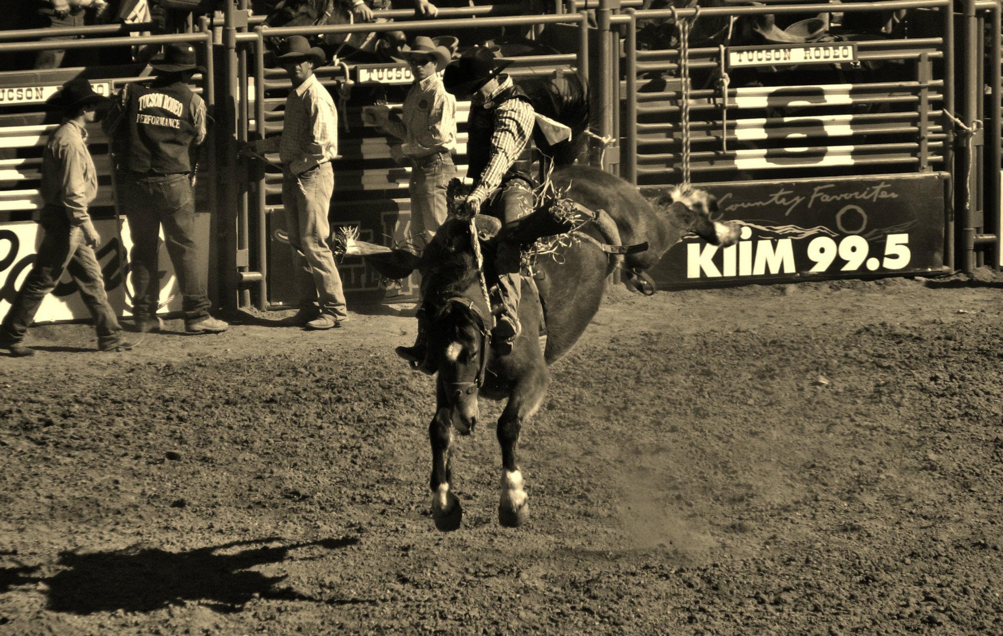 Tucson Rodeo