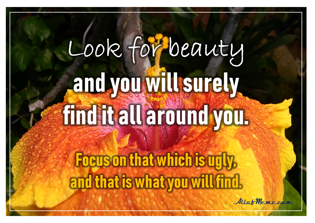 Look for Beauty