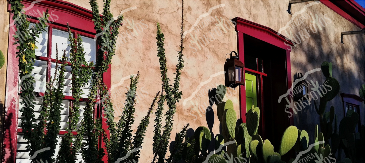 Barrio home with cacti