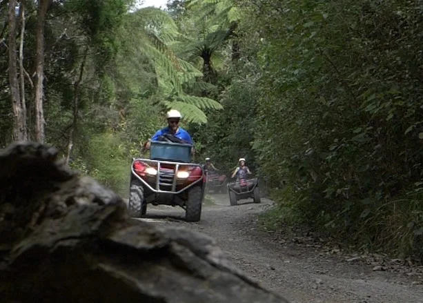 Cruising the trails on the quad bike tour