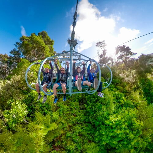 Cable Bay Adventure Park 