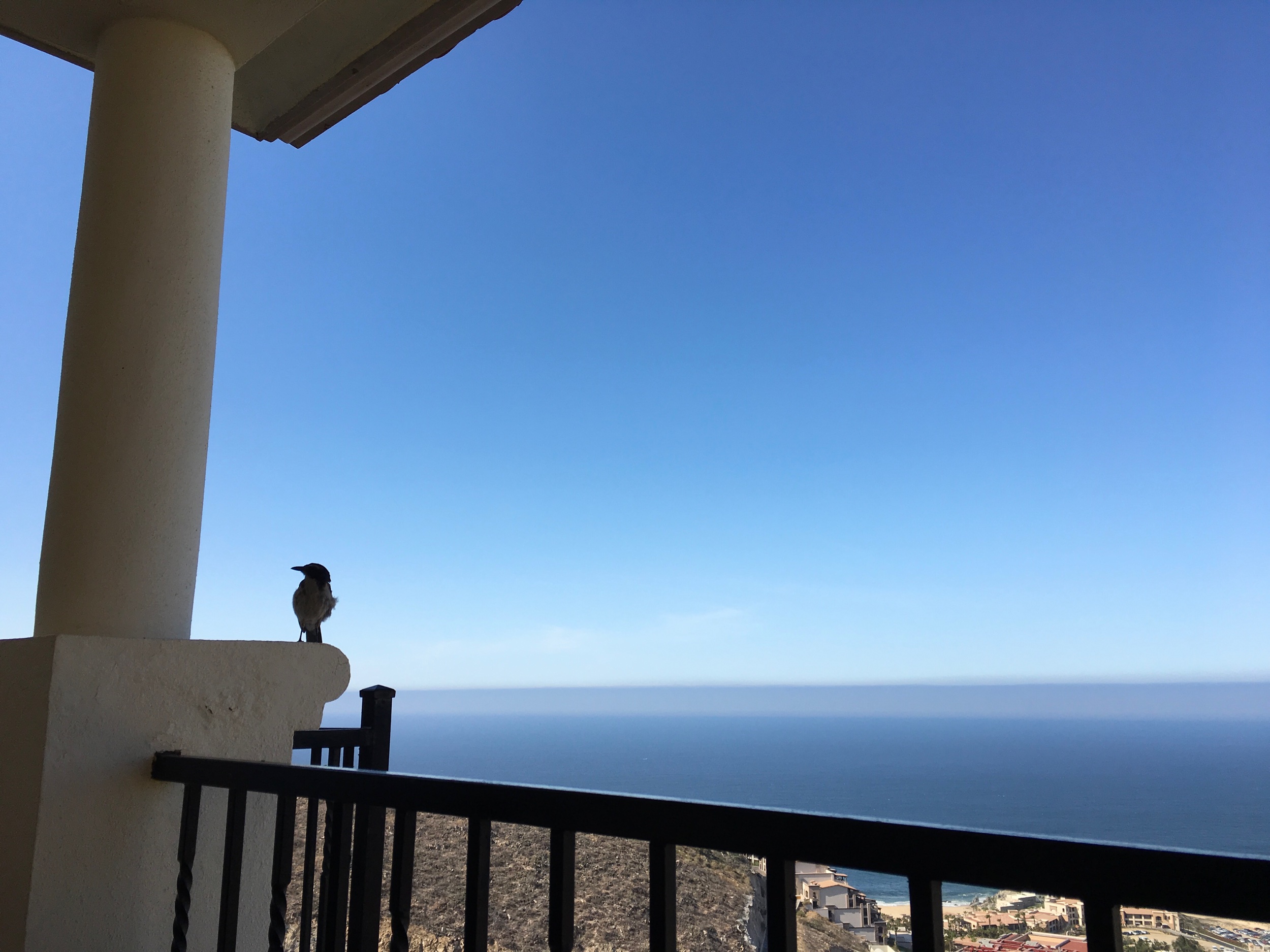 IMG_1090.jpeg