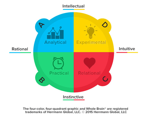 Whole-Brain-Thinking-Model.png