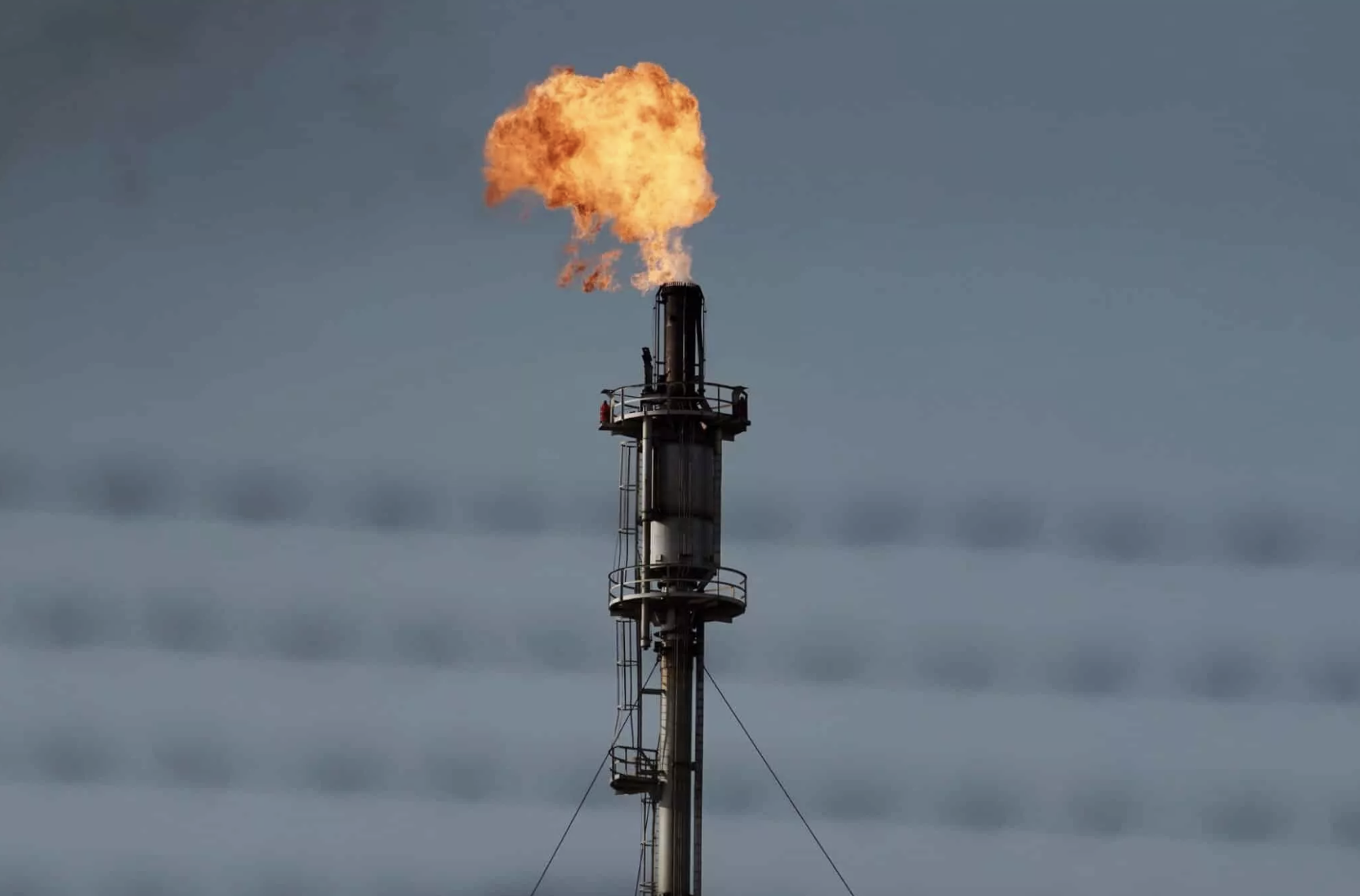 Screenshot 2022-11-07 at 8.20.27 AM.png