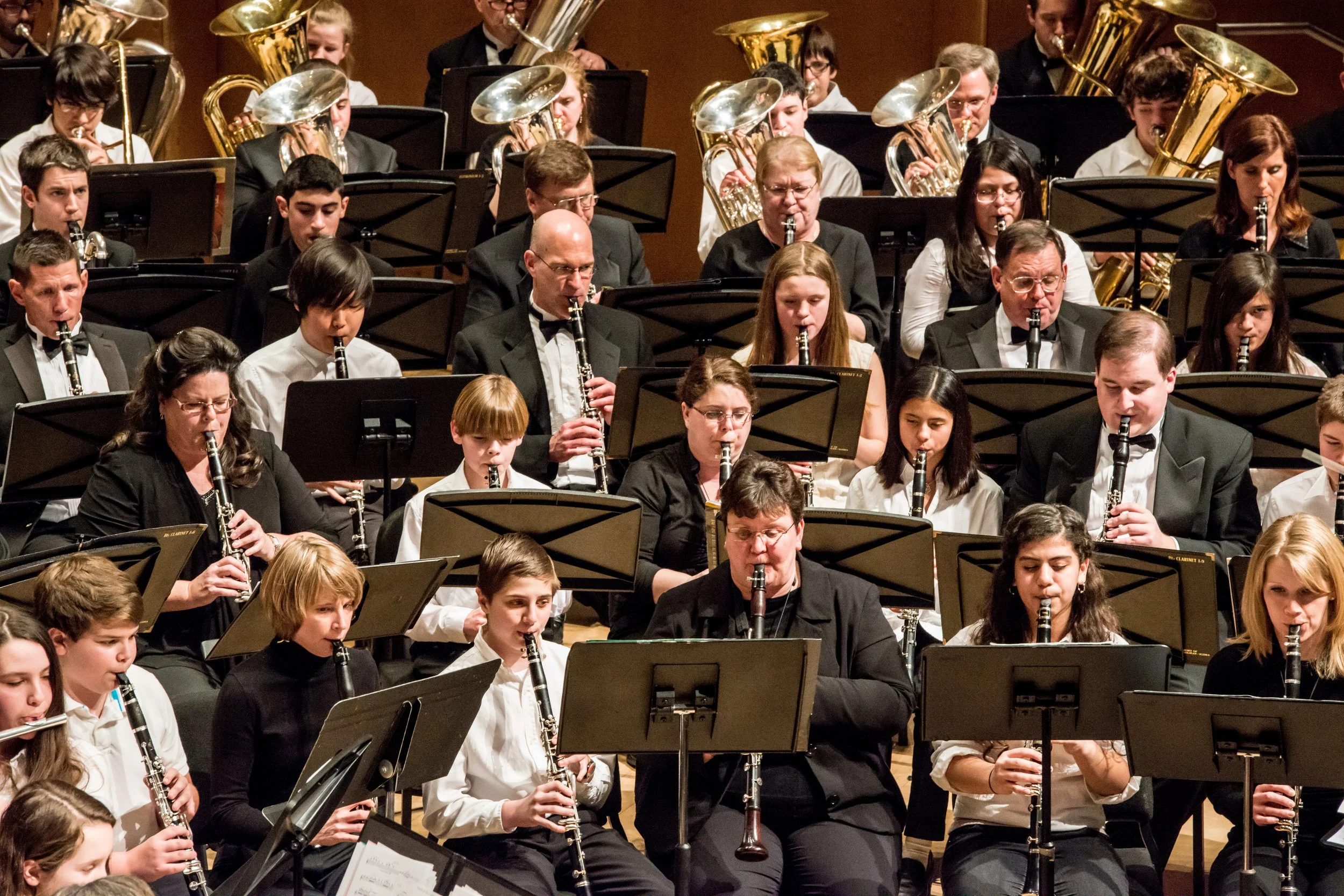 lifetime concert 2014c.jpg