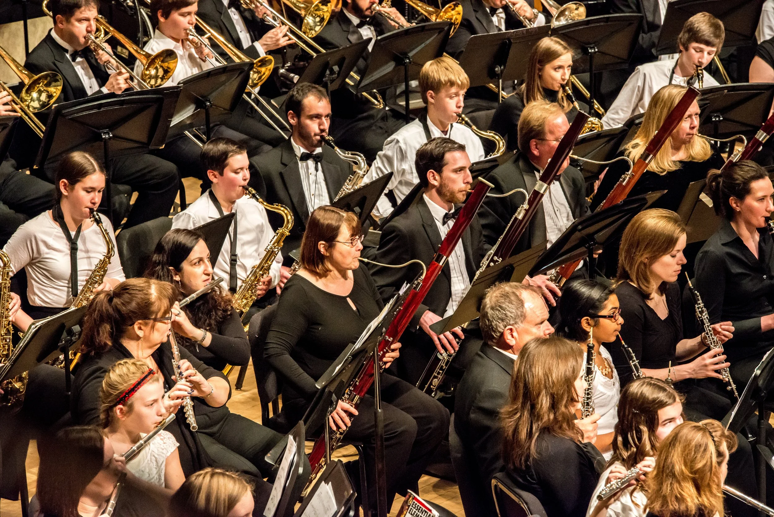 lifetime concert 2014d.jpg