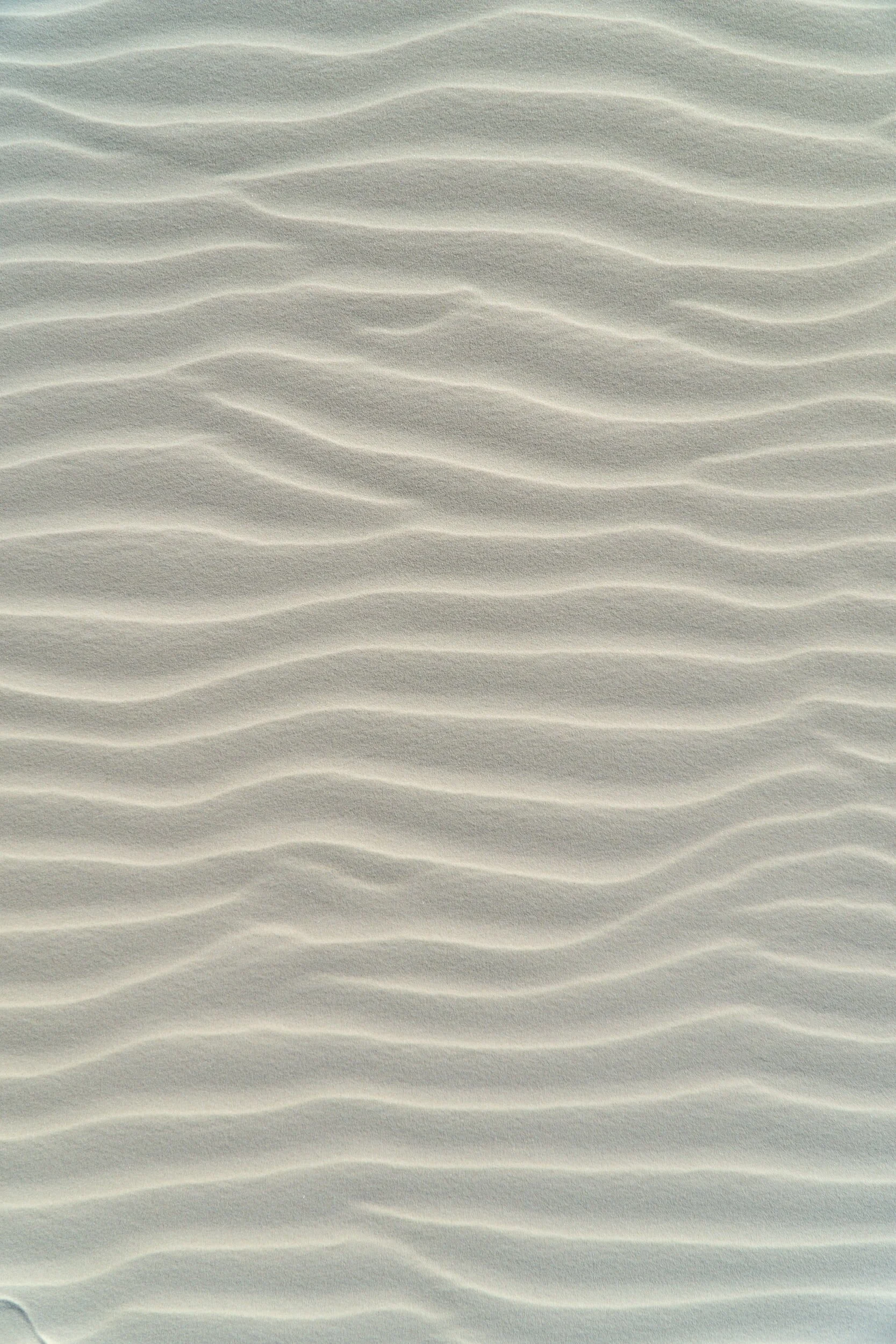 Serene Mind Meditation (Source: O&amp;O Academy) 6:03