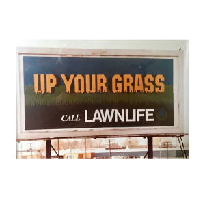 Father's Day Ode and June Ifs