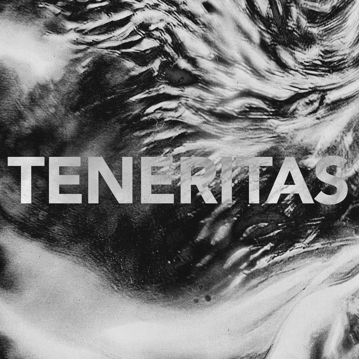 Th Teneritas.jpg