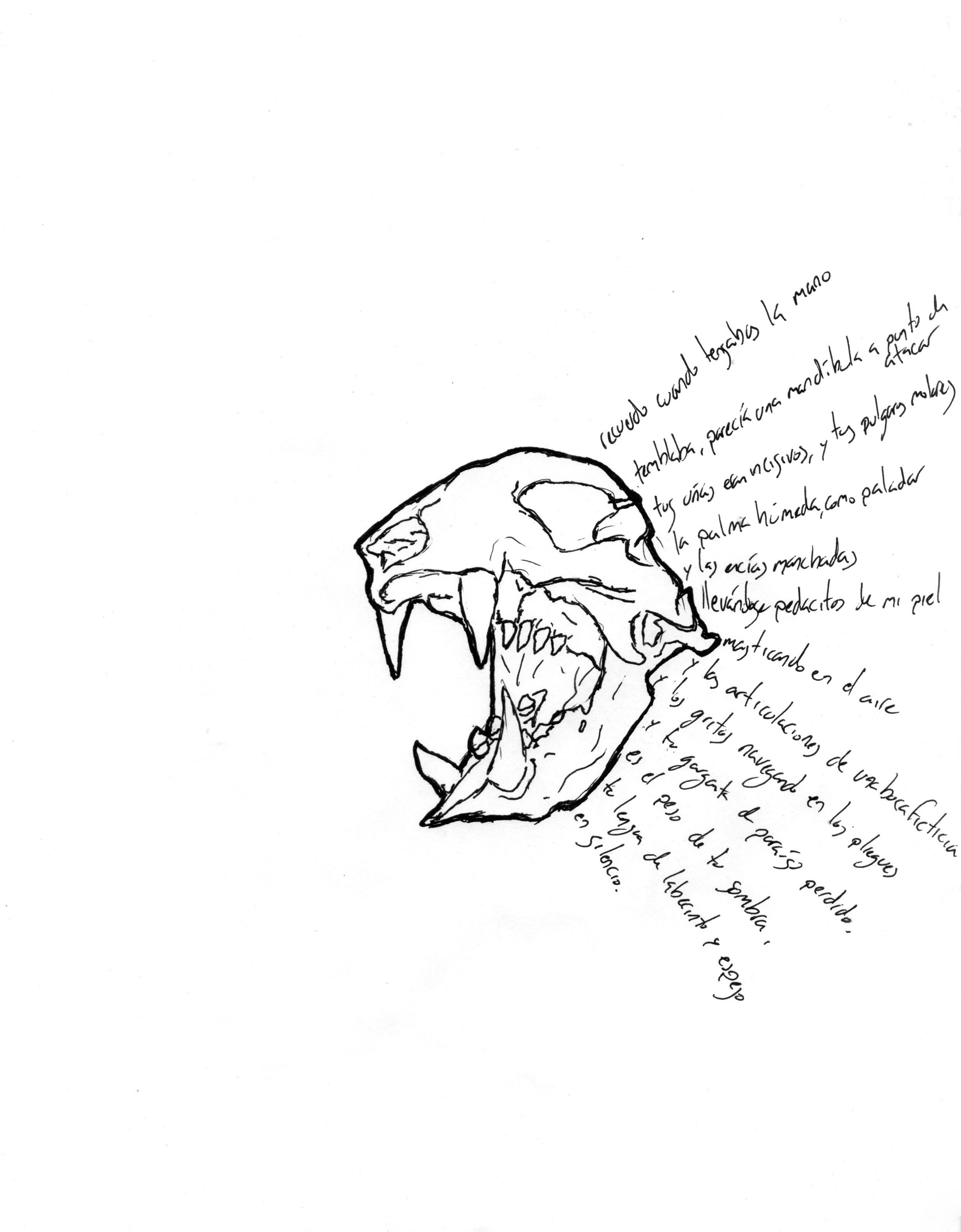 Cuando tensabas la mano.jpg