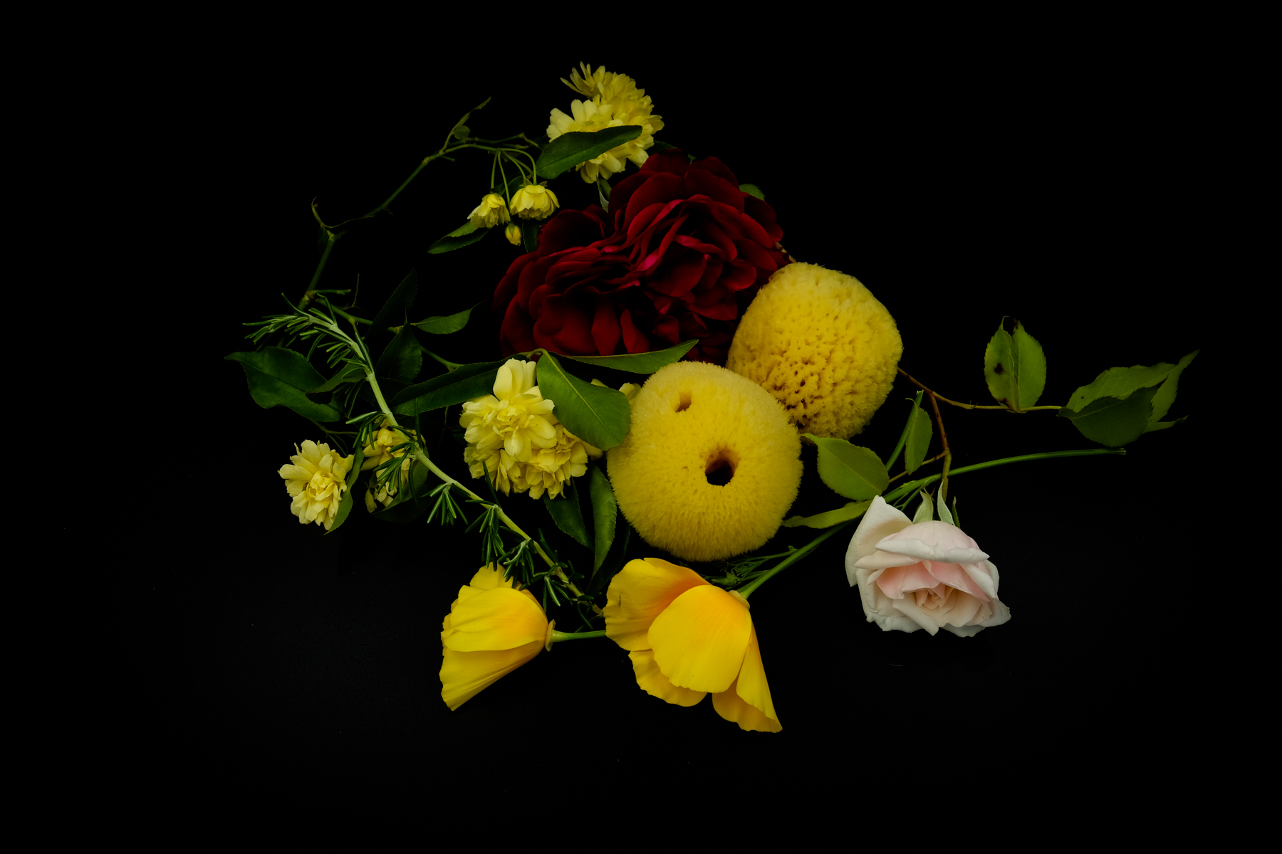 DSCF7111.jpg