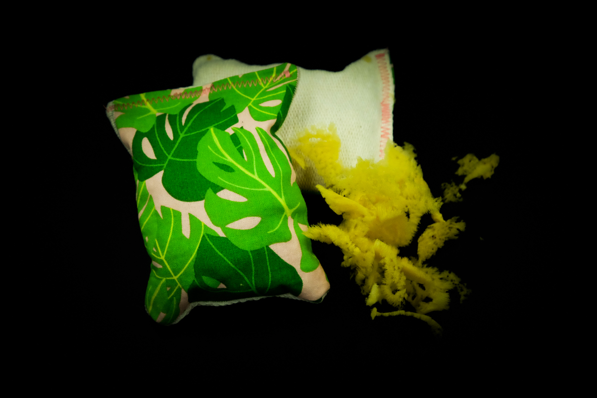 holy sponge product-9.jpg