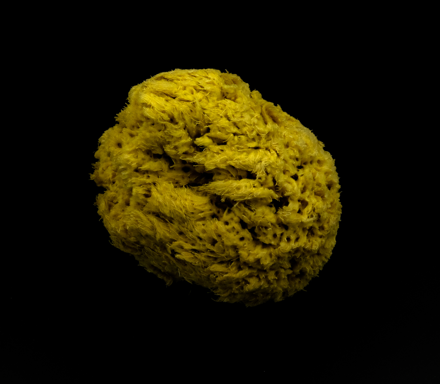 untitled-1.jpg