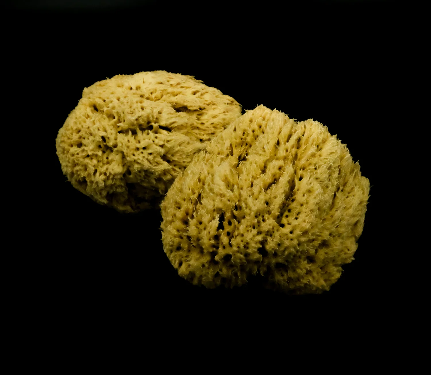 untitled-3.jpg