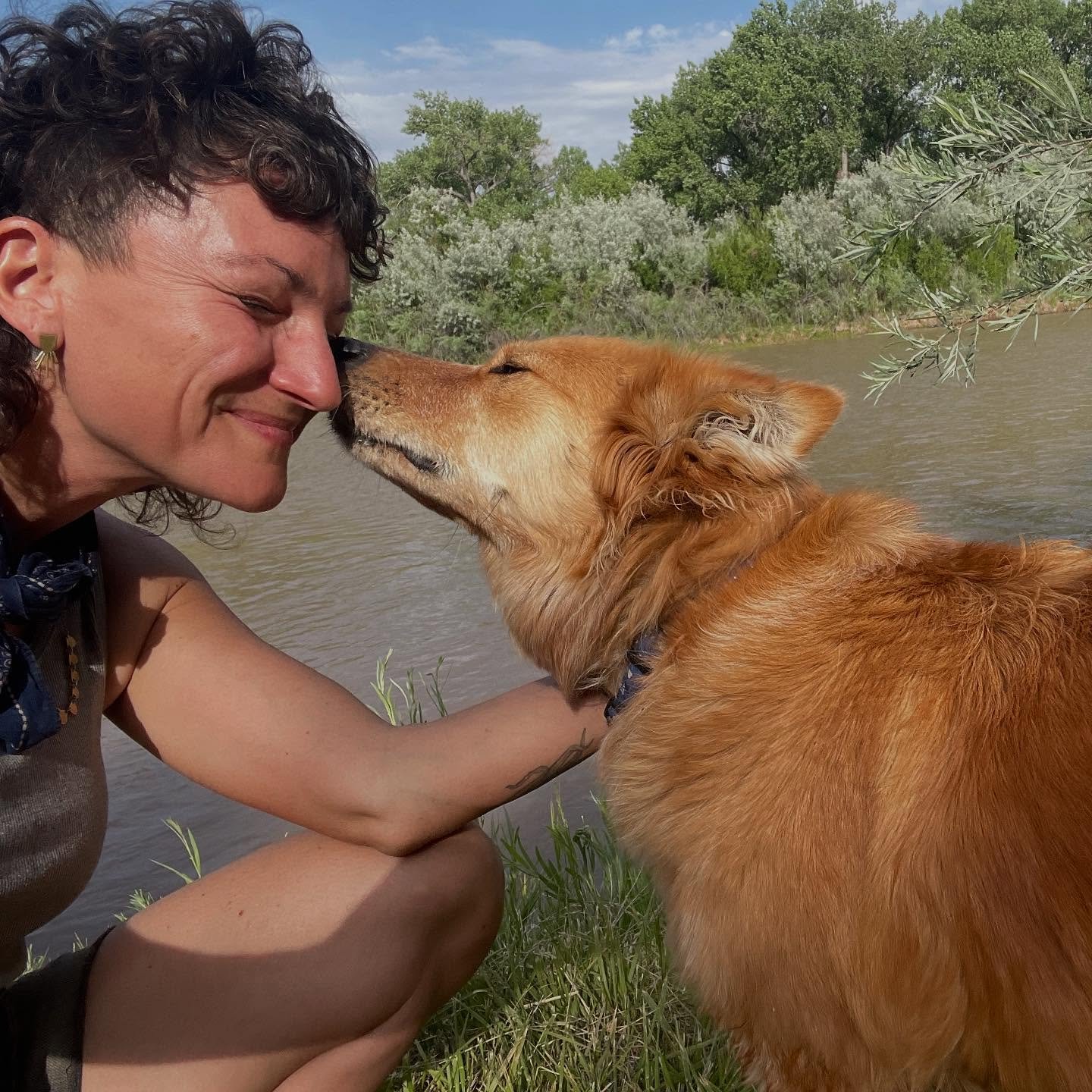 still working with new moon energy and wanting to give life, air, energy to a dream i have, a dream i've been nesting on for over a decade that close ones know about:
a dream of intergenerational queer co-housing, most likely here in northern new mex