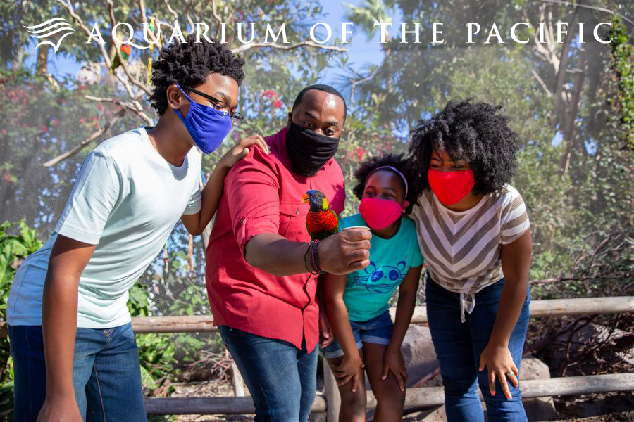 aq fam 1.png