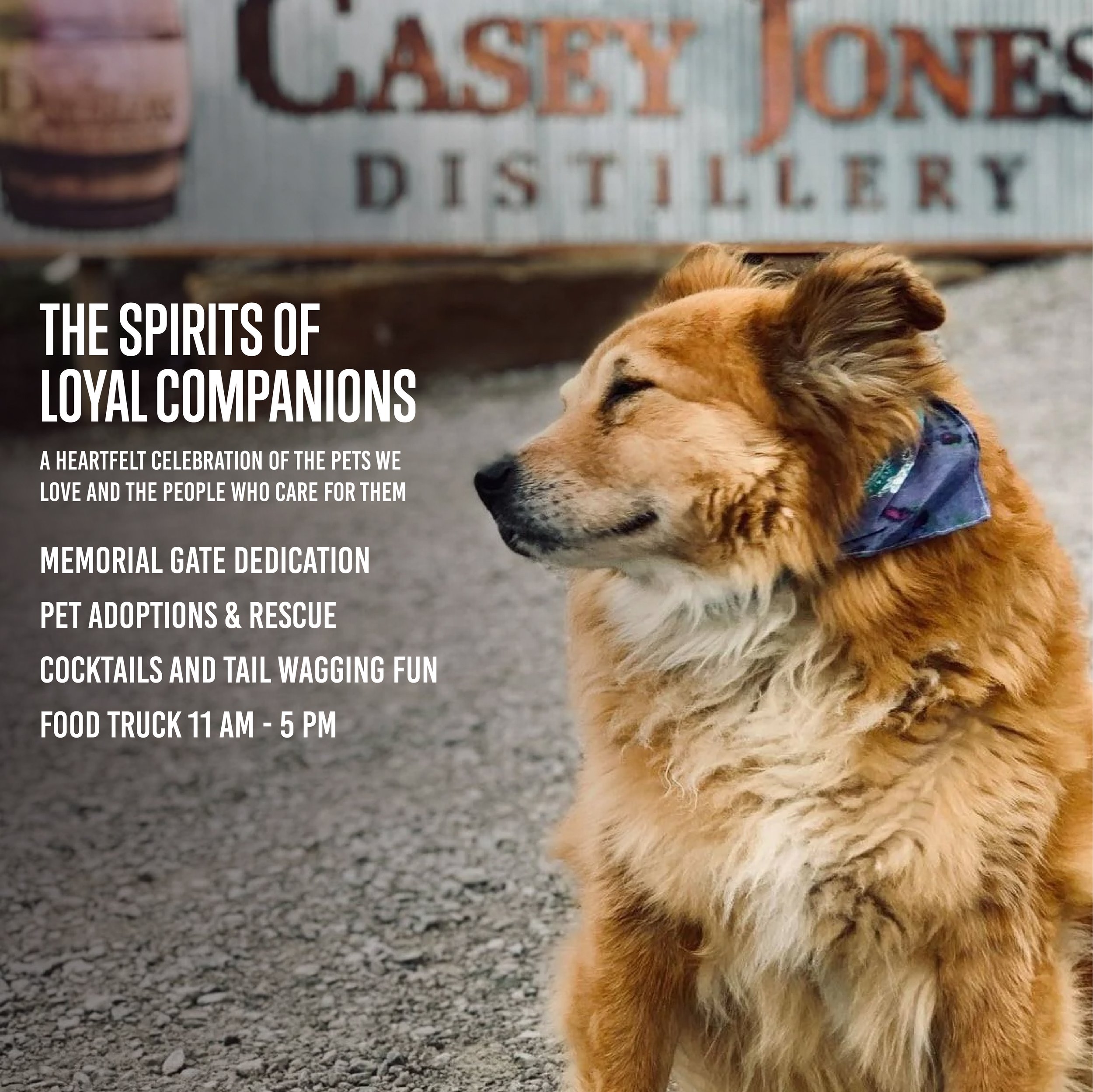 The Spirits of Loyal Companions