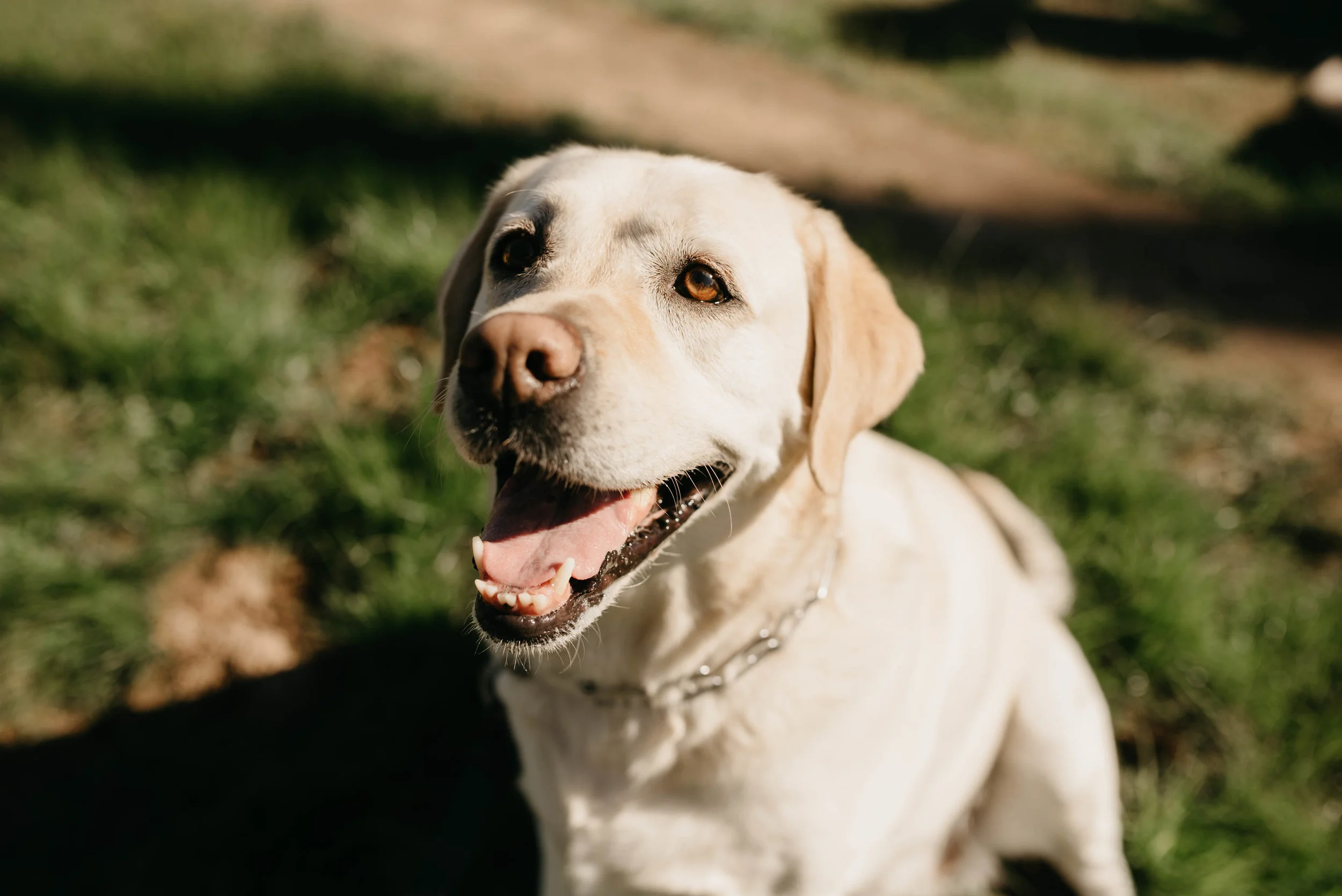 WHO'SYOURWALKIE-57.jpg