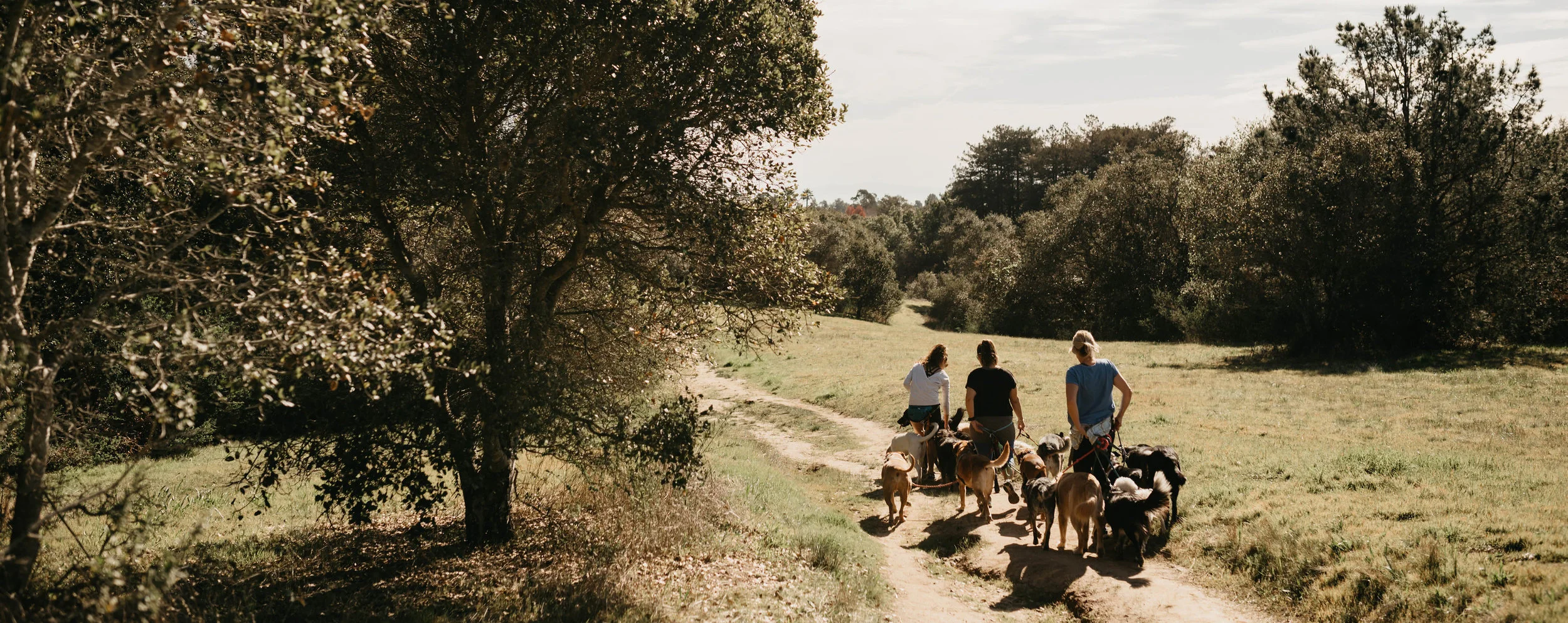 group_walk_1.jpg