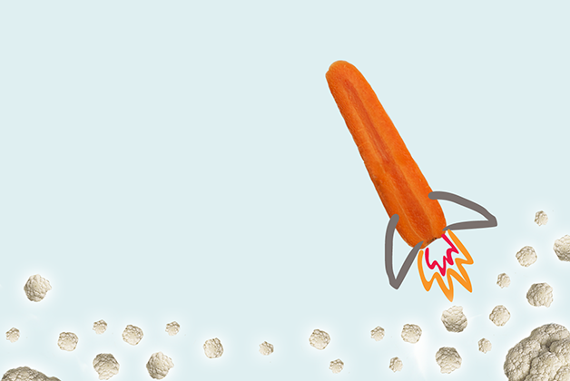 simple-appetites-brand-graphic-rocket.png