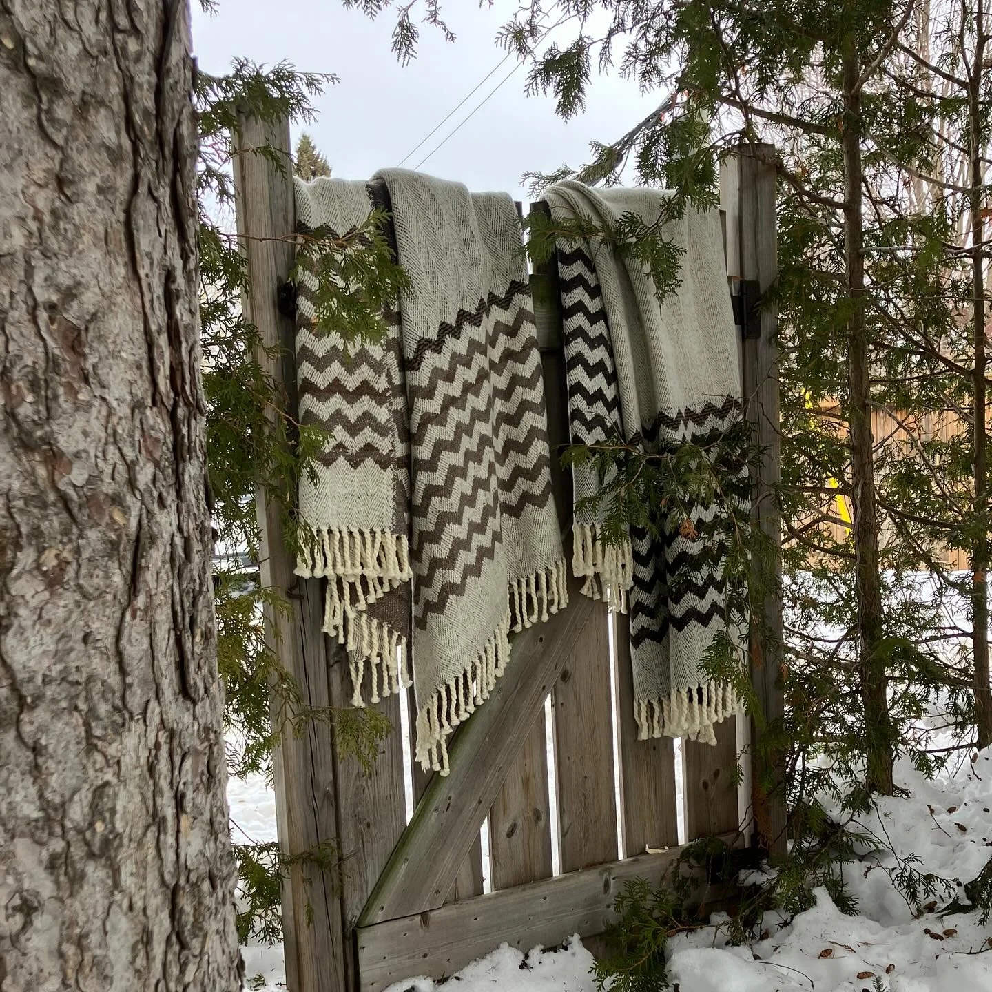 Zig-Zag throw blankets using beautiful undyed Norbouillet wool from Peterborough County, Ontario.
From start to finish an Ontario produced blanket in a 150 km radius.
#bespokeblanket #madeinontario @ontariofibreshed