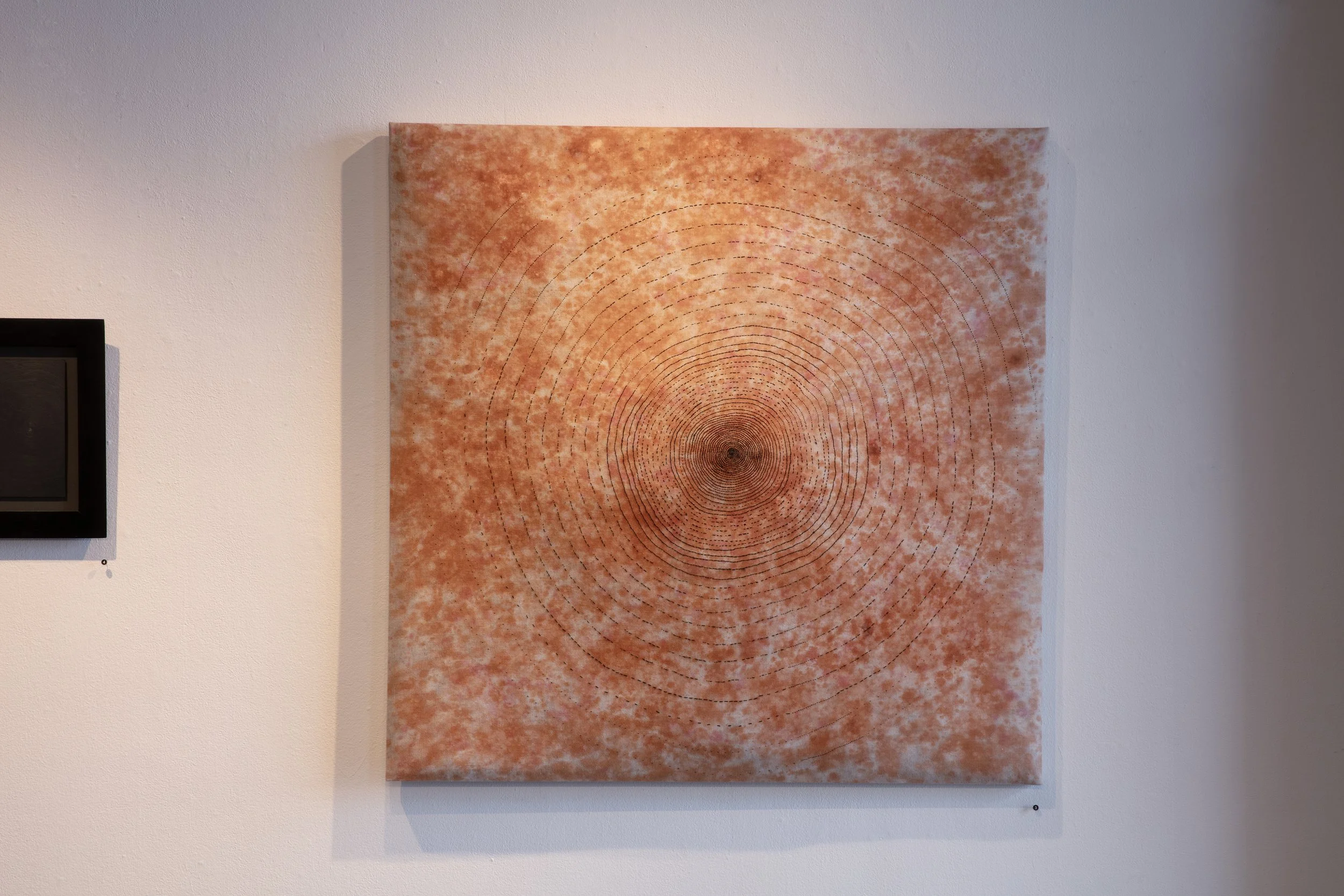 SM NO NO NO HORIZ_30A9516 copy.jpg